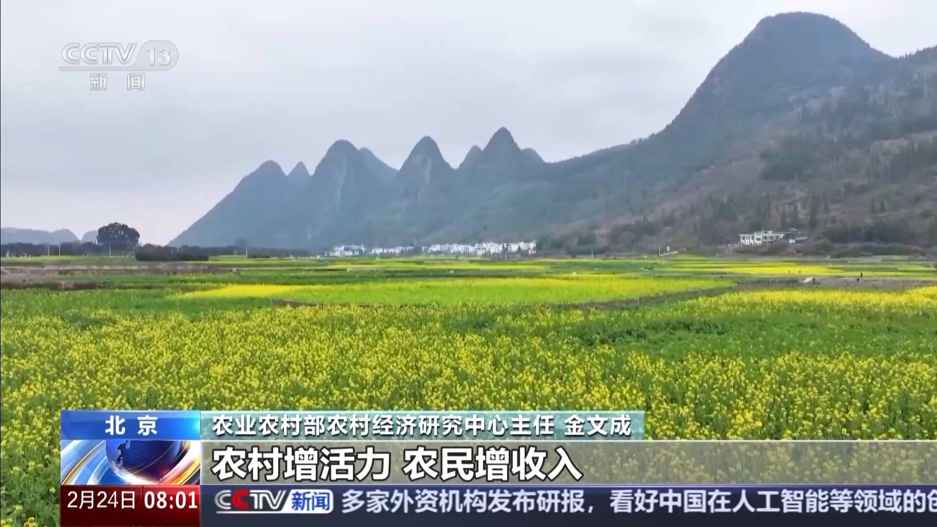 中央一號(hào)文件發(fā)布 有何新亮點(diǎn)？