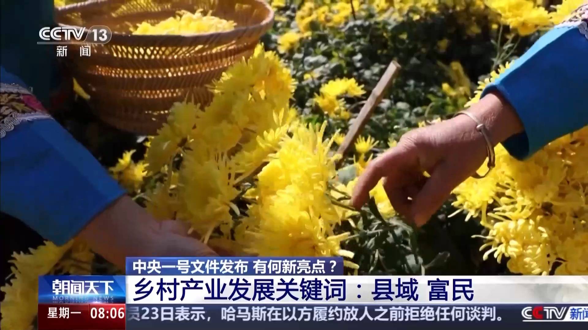 中央一號(hào)文件發(fā)布 有何新亮點(diǎn)？