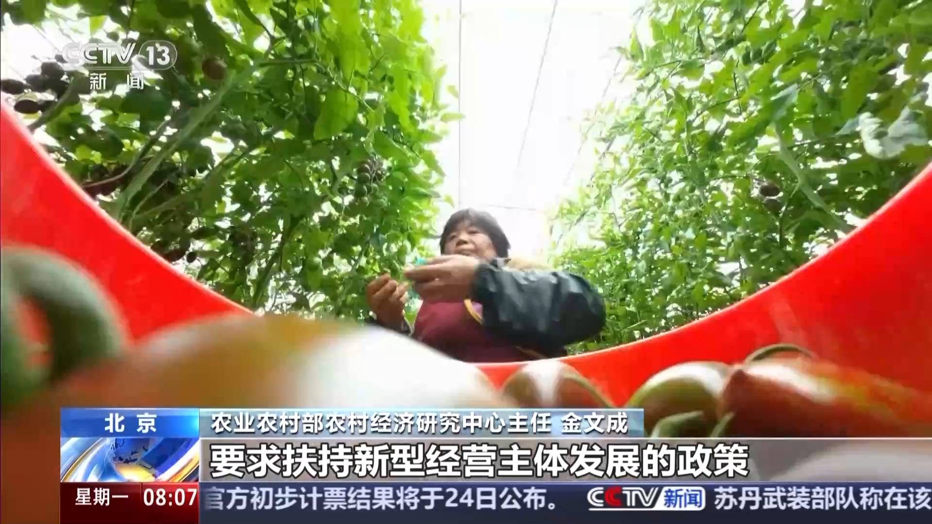中央一號(hào)文件發(fā)布 有何新亮點(diǎn)？