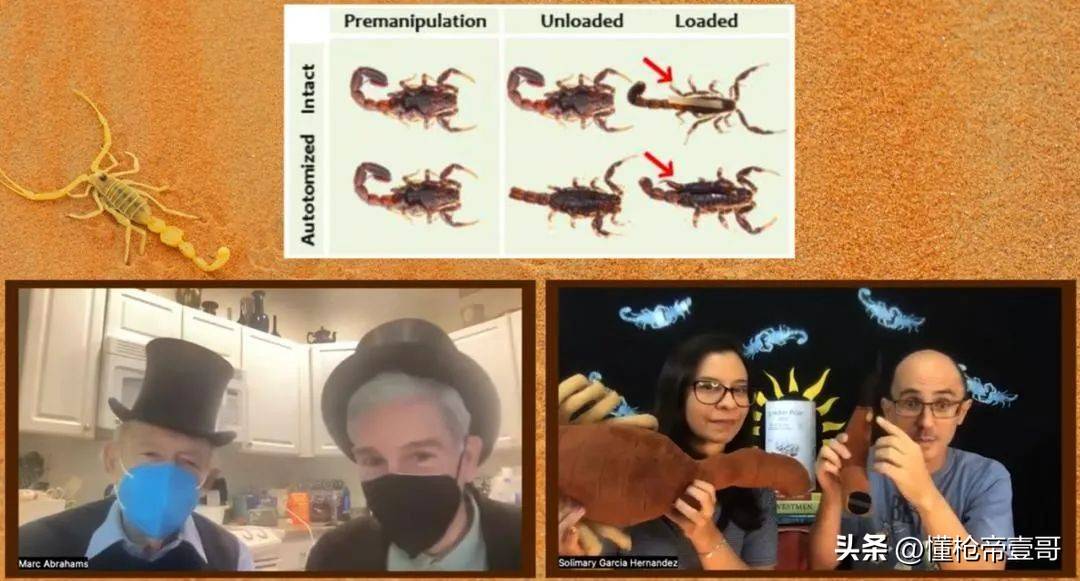給中國(guó)5位殺手頒獎(jiǎng)的搞笑諾貝爾，今年又來整活了！丨輕武專欄