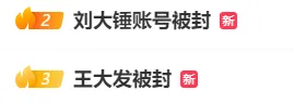 雙雙被封，徹底涼涼！網(wǎng)友：大快人心
