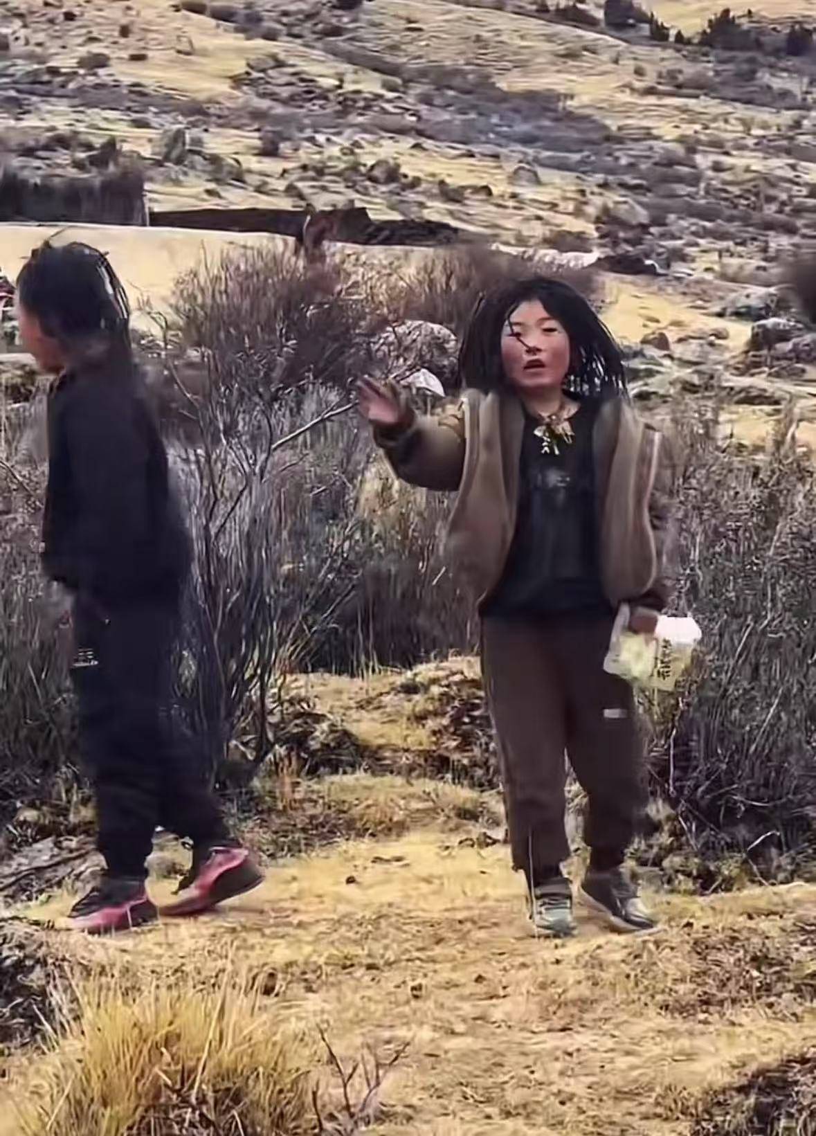 重慶男子在理塘旅游送當(dāng)?shù)匦『⒘闶?，反被贈三只藏獒，“他們把我?dāng)做很好的客人”
