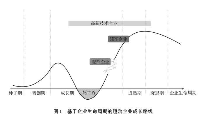 政府工作報(bào)告中的新詞“瞪羚企業(yè)”，是什么意思