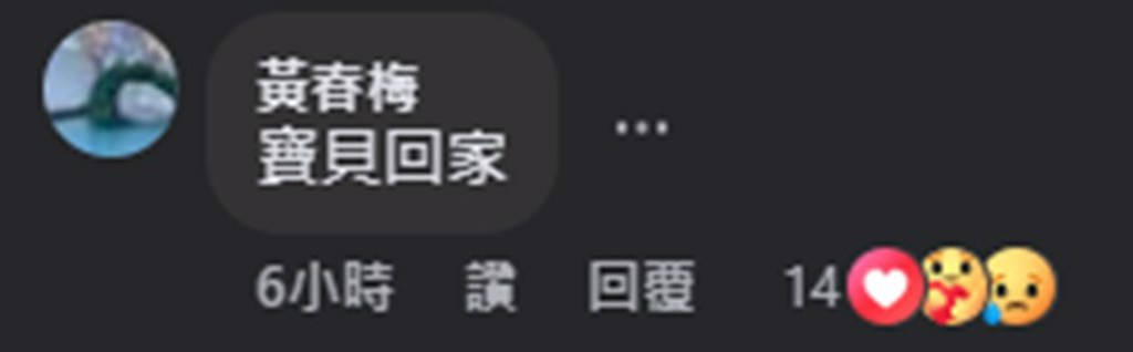 S媽分享AI大S視頻 表示：我女兒回來了