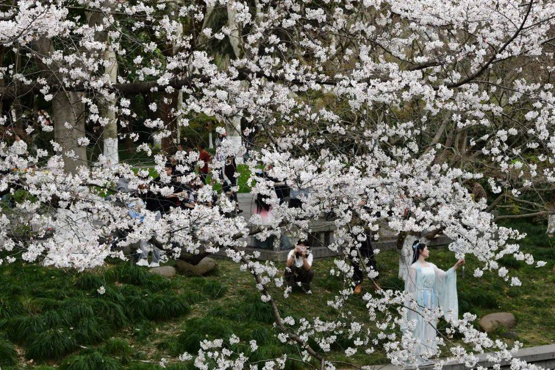 暴降17℃！浙江明起“大變臉”：暴雨、雷暴大風(fēng)、冰雹都要來(lái)！