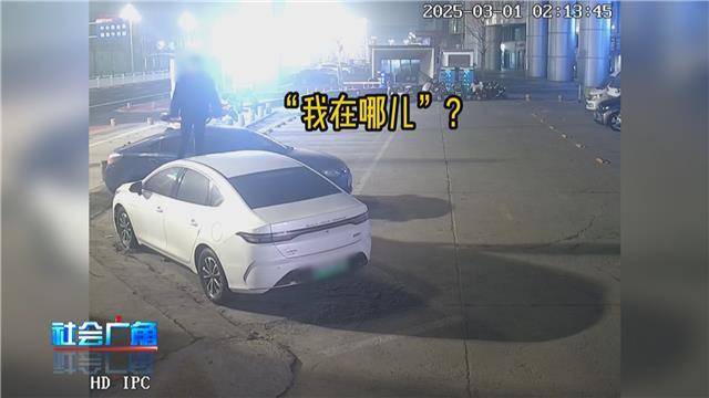 煙臺一男子酒后車頂“蹦迪“被行拘