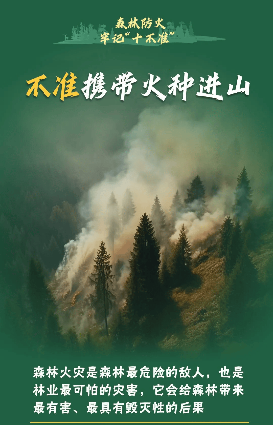 山火連發(fā)，原因公布！多地拉響紅色預(yù)警→