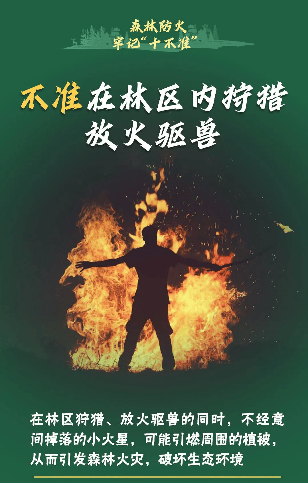 山火連發(fā)，原因公布！多地拉響紅色預(yù)警→