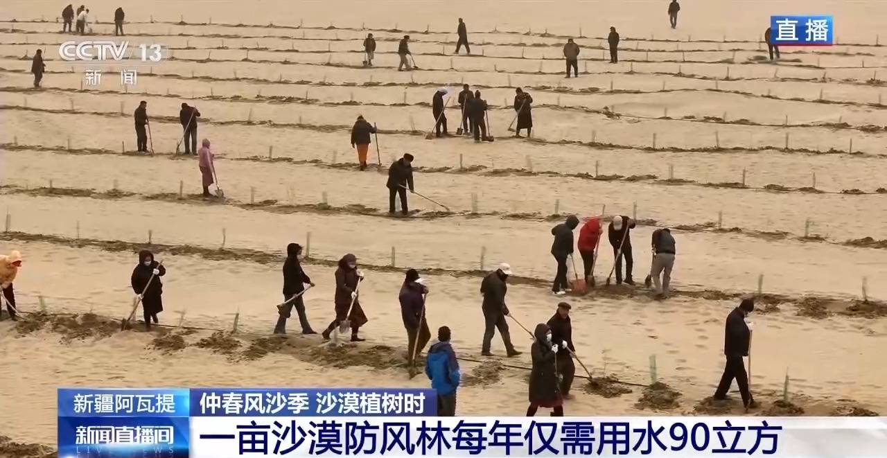 “鎖邊”→“擴(kuò)邊” 塔克拉瑪干沙漠植樹造綠迎來新進(jìn)展
