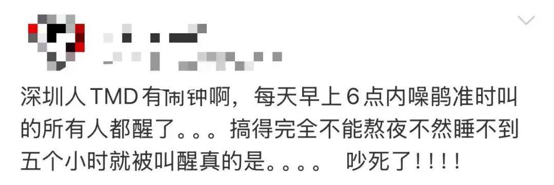 “周末想睡個懶覺都不行”，有多少深圳人被這種鳥吵到神經(jīng)衰弱