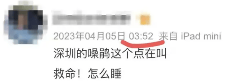 “周末想睡個懶覺都不行”，有多少深圳人被這種鳥吵到神經(jīng)衰弱