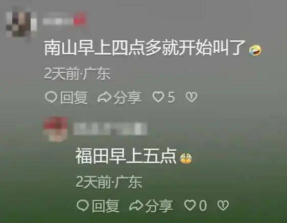 “周末想睡個懶覺都不行”，有多少深圳人被這種鳥吵到神經(jīng)衰弱