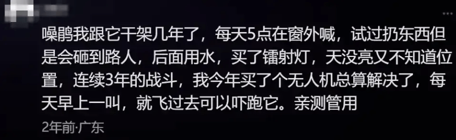 “周末想睡個懶覺都不行”，有多少深圳人被這種鳥吵到神經(jīng)衰弱