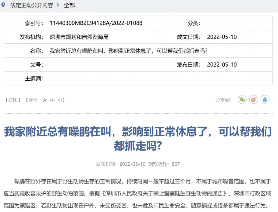 “周末想睡個懶覺都不行”，有多少深圳人被這種鳥吵到神經(jīng)衰弱