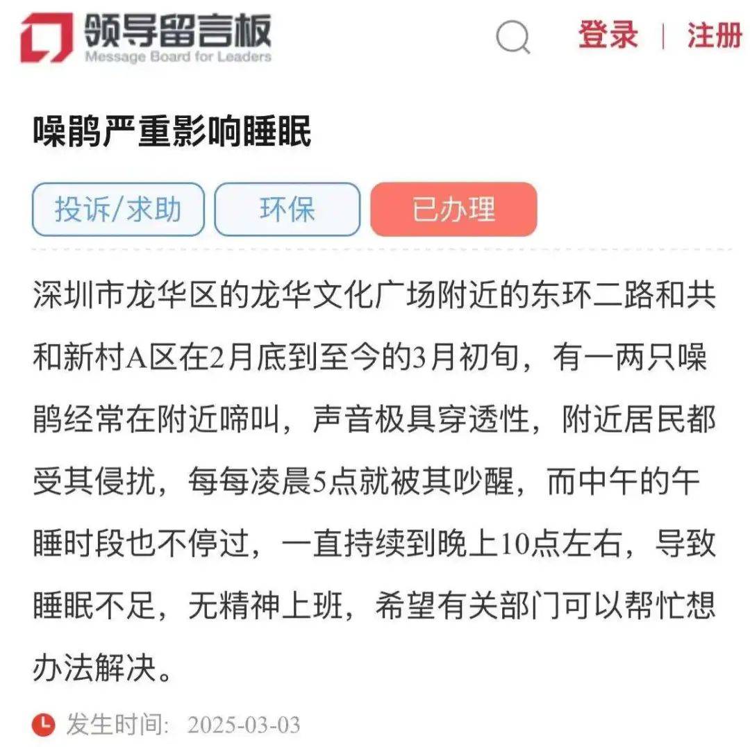 “周末想睡個懶覺都不行”，有多少深圳人被這種鳥吵到神經(jīng)衰弱