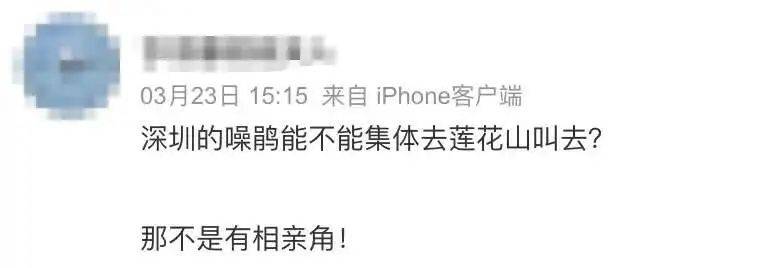 “周末想睡個懶覺都不行”，有多少深圳人被這種鳥吵到神經(jīng)衰弱