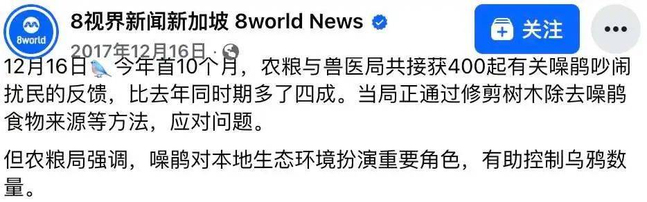 “周末想睡個懶覺都不行”，有多少深圳人被這種鳥吵到神經(jīng)衰弱