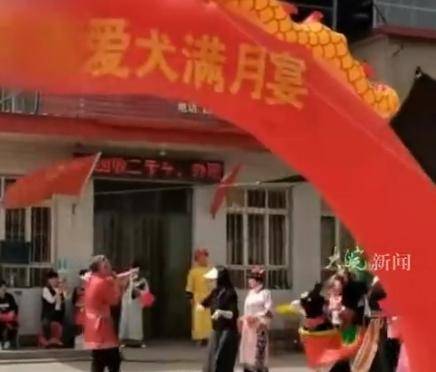 河北一店鋪給狗辦滿月宴引爭議，當(dāng)事人：不是炒作，只是愛狗