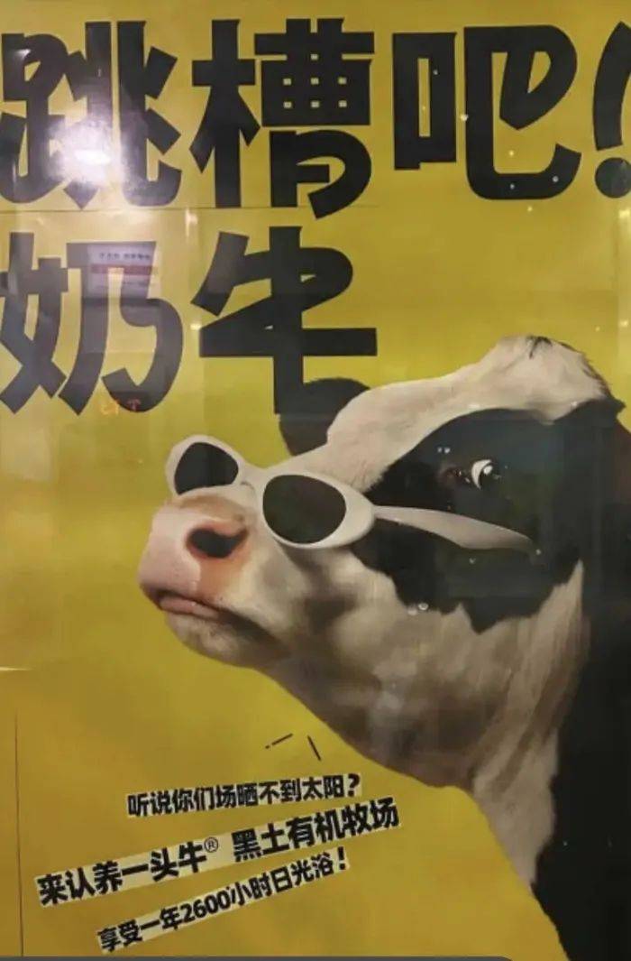 認(rèn)養(yǎng)一頭牛廣告被質(zhì)疑諷刺打工人，公司回應(yīng)：致敬BOSS直聘
