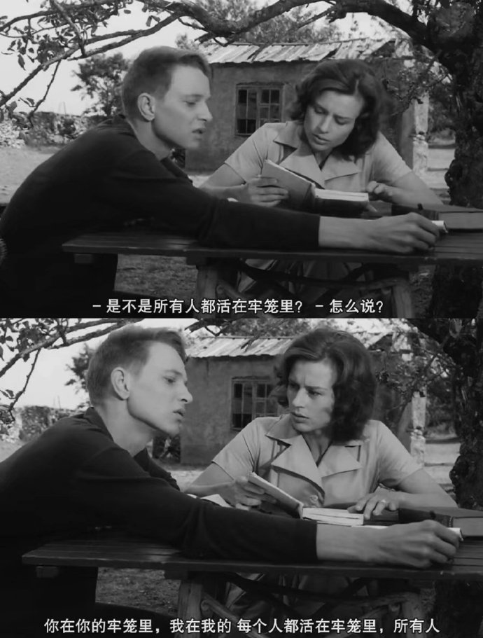 300起步的“縣城鳥”，被中產(chǎn)搶瘋了