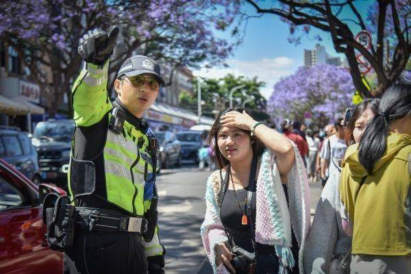 昆明警方：今年藍花楹開放以來 教場路核心賞花區(qū)刑事警情零接報