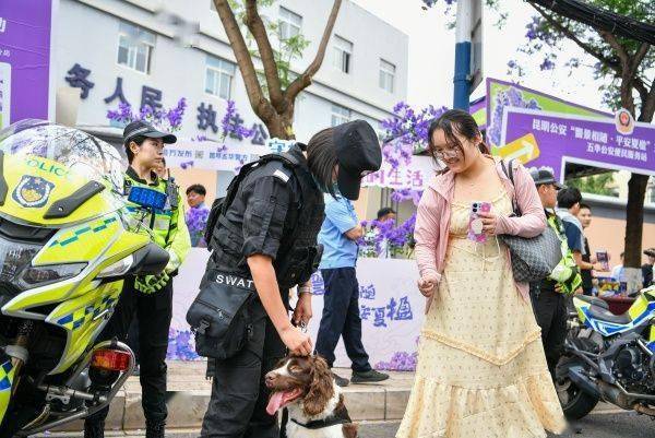 昆明警方：今年藍花楹開放以來 教場路核心賞花區(qū)刑事警情零接報