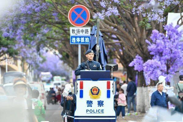 昆明警方：今年藍花楹開放以來 教場路核心賞花區(qū)刑事警情零接報
