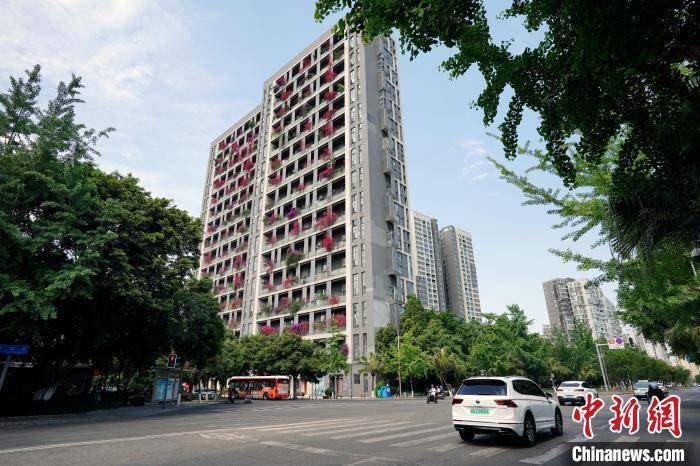 成都一棟30層高居民樓被三角梅扮靚