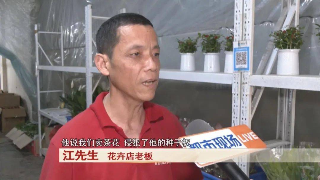 男子賣了三盆花，引來五萬索賠