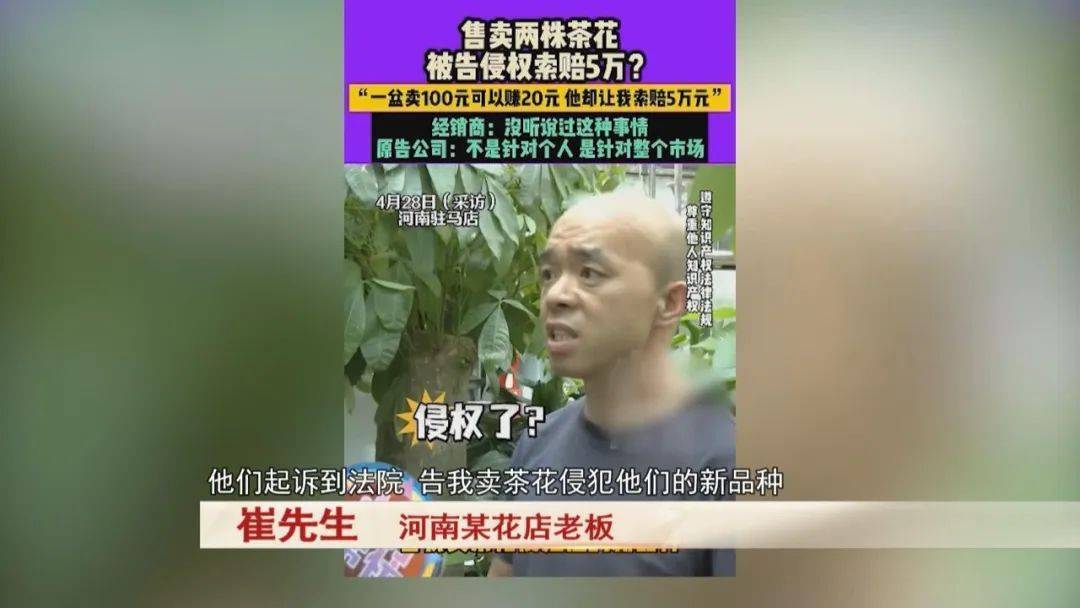 男子賣了三盆花，引來五萬索賠