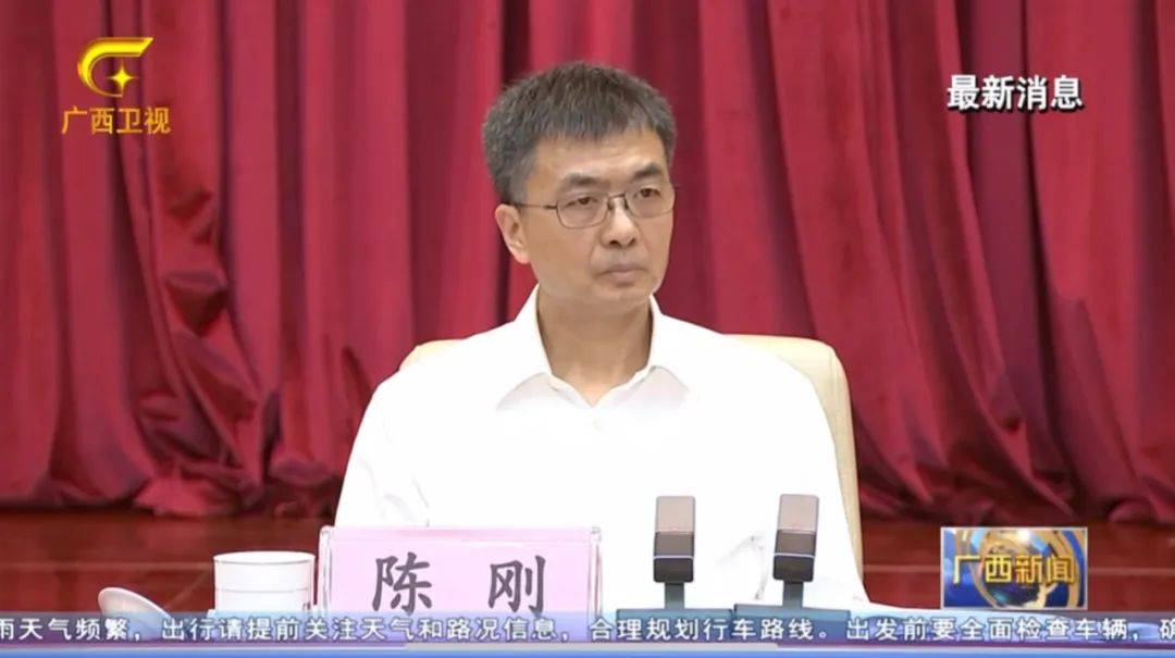 倒查十年！陳剛要求嚴(yán)肅追責(zé)，6位省部級(jí)任組長