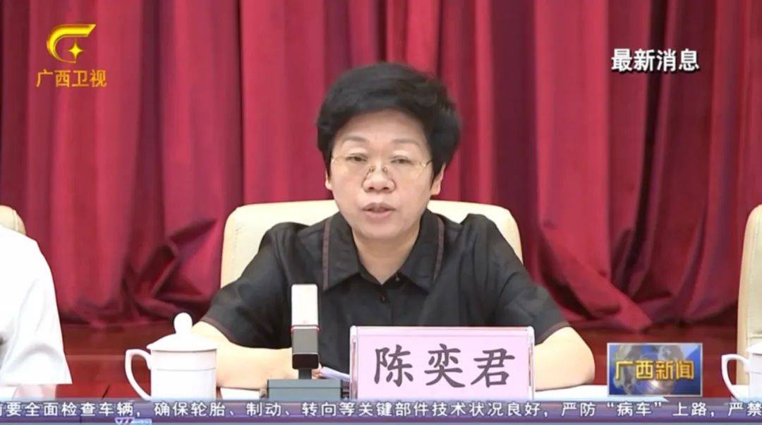 倒查十年！陳剛要求嚴(yán)肅追責(zé)，6位省部級(jí)任組長