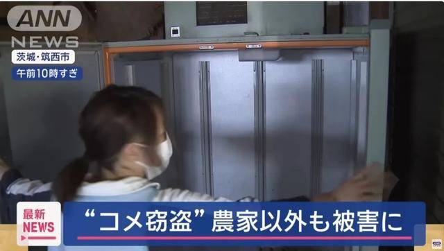 米太貴！日本人在米袋里放GPS防偷