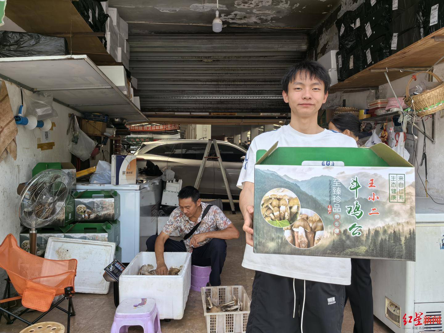 “天價”雞樅調(diào)查：最貴賣到1800元/公斤！雨水少致產(chǎn)量低，多地價高客少