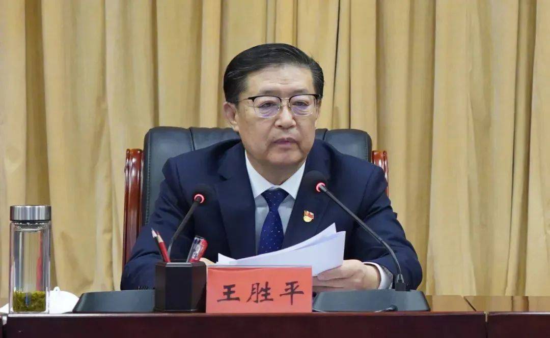 王勝平，被查