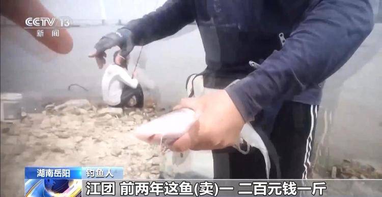 保護(hù)區(qū)里的“瘋狂垂釣”屢禁不止！記者調(diào)查