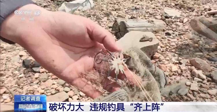 保護(hù)區(qū)里的“瘋狂垂釣”屢禁不止！記者調(diào)查