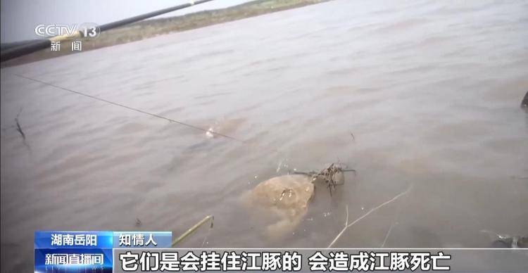 保護(hù)區(qū)里的“瘋狂垂釣”屢禁不止！記者調(diào)查
