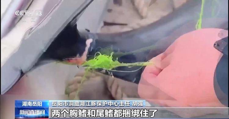 保護(hù)區(qū)里的“瘋狂垂釣”屢禁不止！記者調(diào)查
