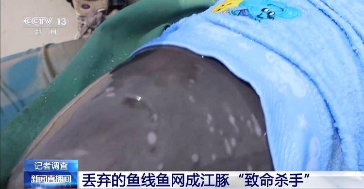 保護(hù)區(qū)里的“瘋狂垂釣”屢禁不止！記者調(diào)查