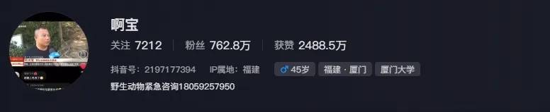 女游客疑被蛇咬傷身亡后，博主“啊寶”講毒蛇1天漲粉190萬