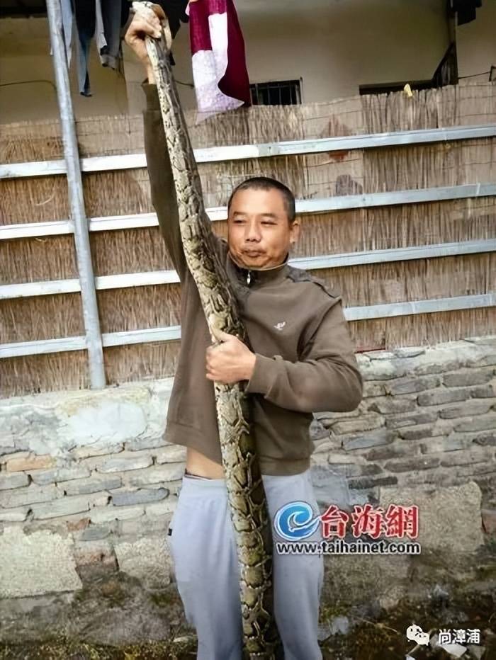 女游客疑被蛇咬傷身亡后，博主“啊寶”講毒蛇1天漲粉190萬