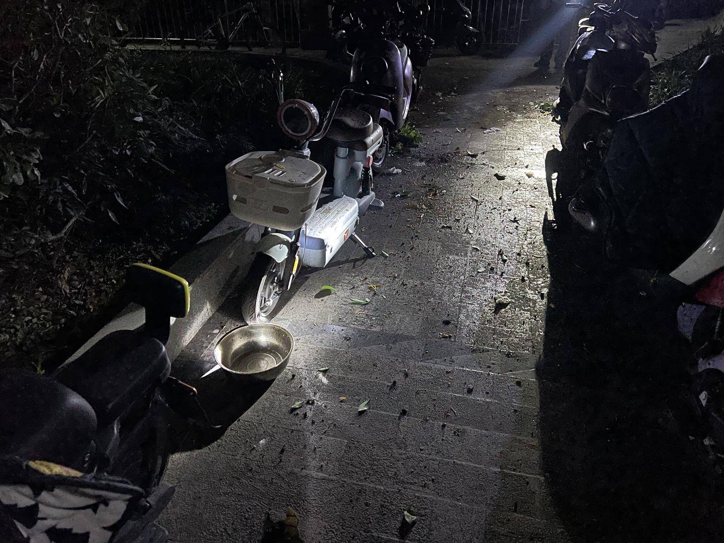 男子與朋友吃酒起爭執(zhí)，竟從10樓扔下綠蘿、蘭花和不銹鋼盆，被刑拘