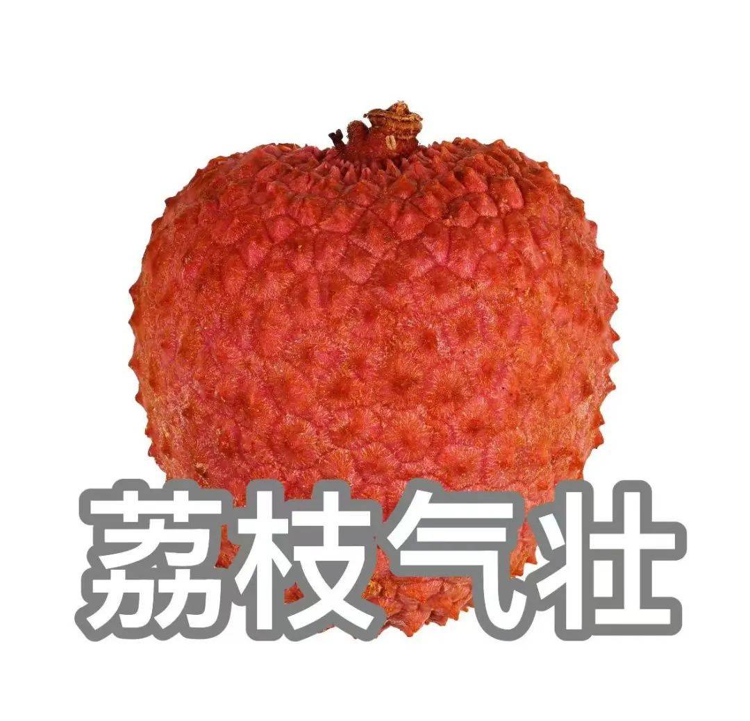“qí”還是“jì”？“一騎紅塵”怎么讀？網(wǎng)友吵翻了......