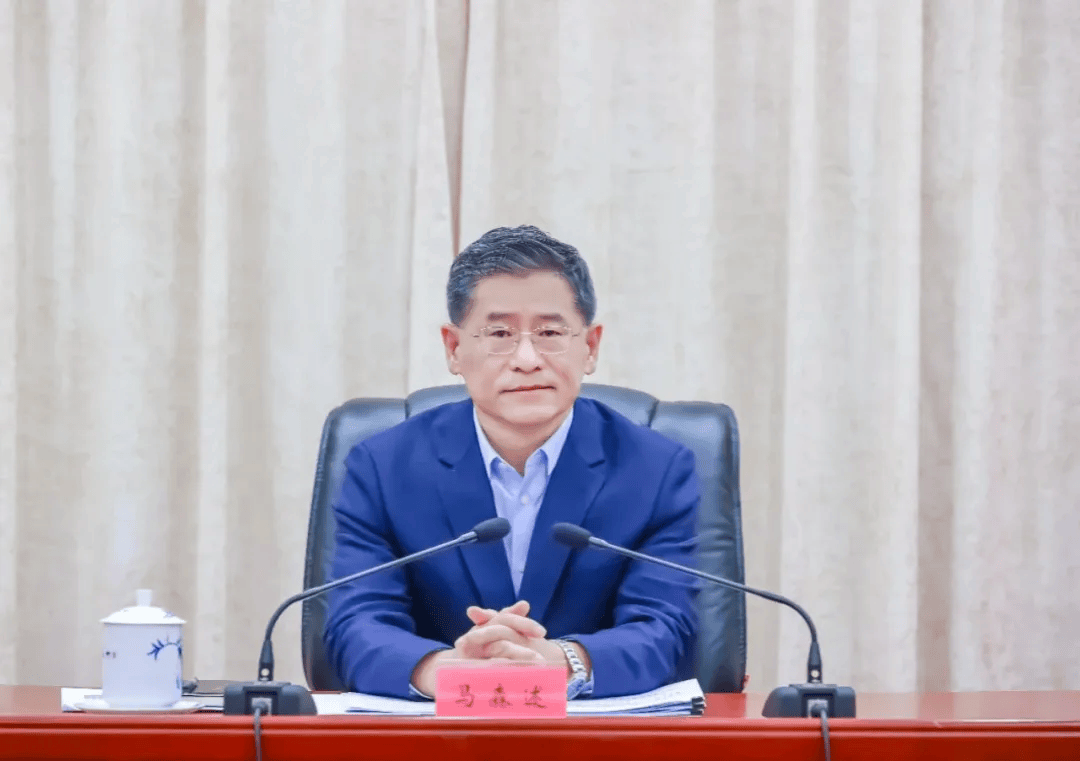 馬森述，任廣東省監(jiān)察委員會副主任，代理省監(jiān)察委員會主任職務(wù)