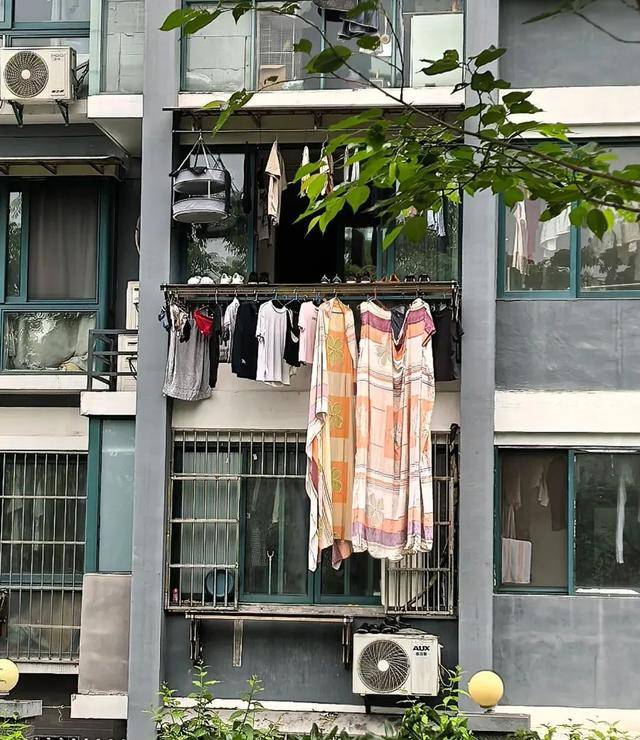 浙江發(fā)現(xiàn)一戶人家“高級晾衣法”，做法太高明了，你確定不學(xué)起來？