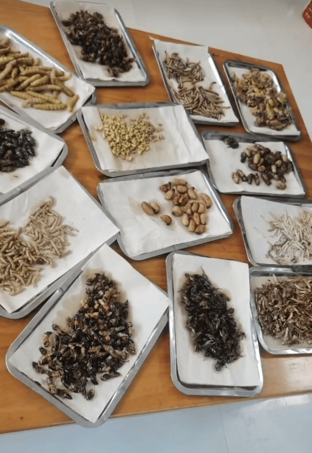 一小飯店老板隨手拍視頻竟成“違法廣告”，45萬元“天價處罰”引爭議