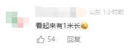 有人家中出現(xiàn)“巨型蟑螂”？網(wǎng)友：房子給它了