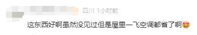 有人家中出現(xiàn)“巨型蟑螂”？網(wǎng)友：房子給它了