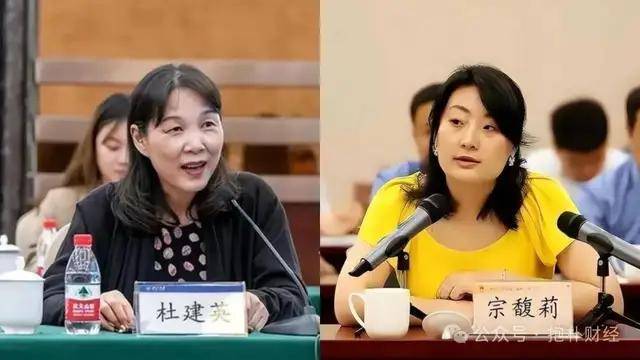 雙方遺囑矛盾，宗馥莉杜建英誰(shuí)能笑到最后？